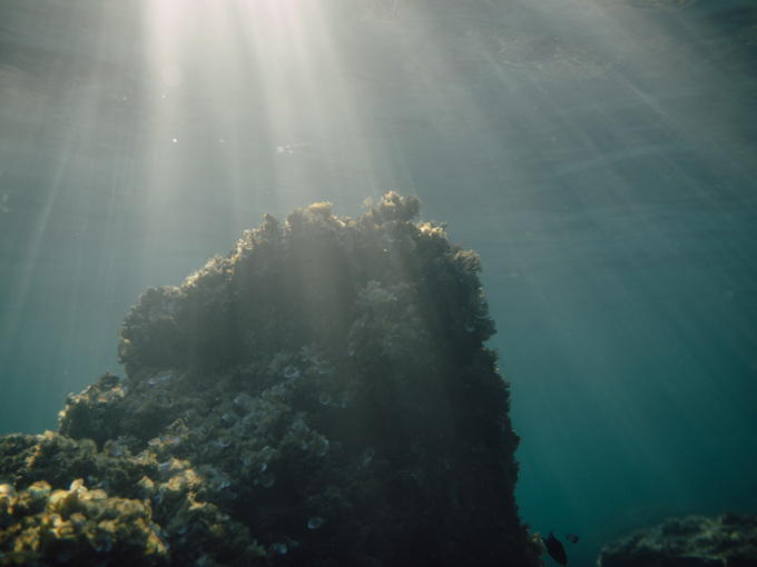 Korallenriffe unter Wasser